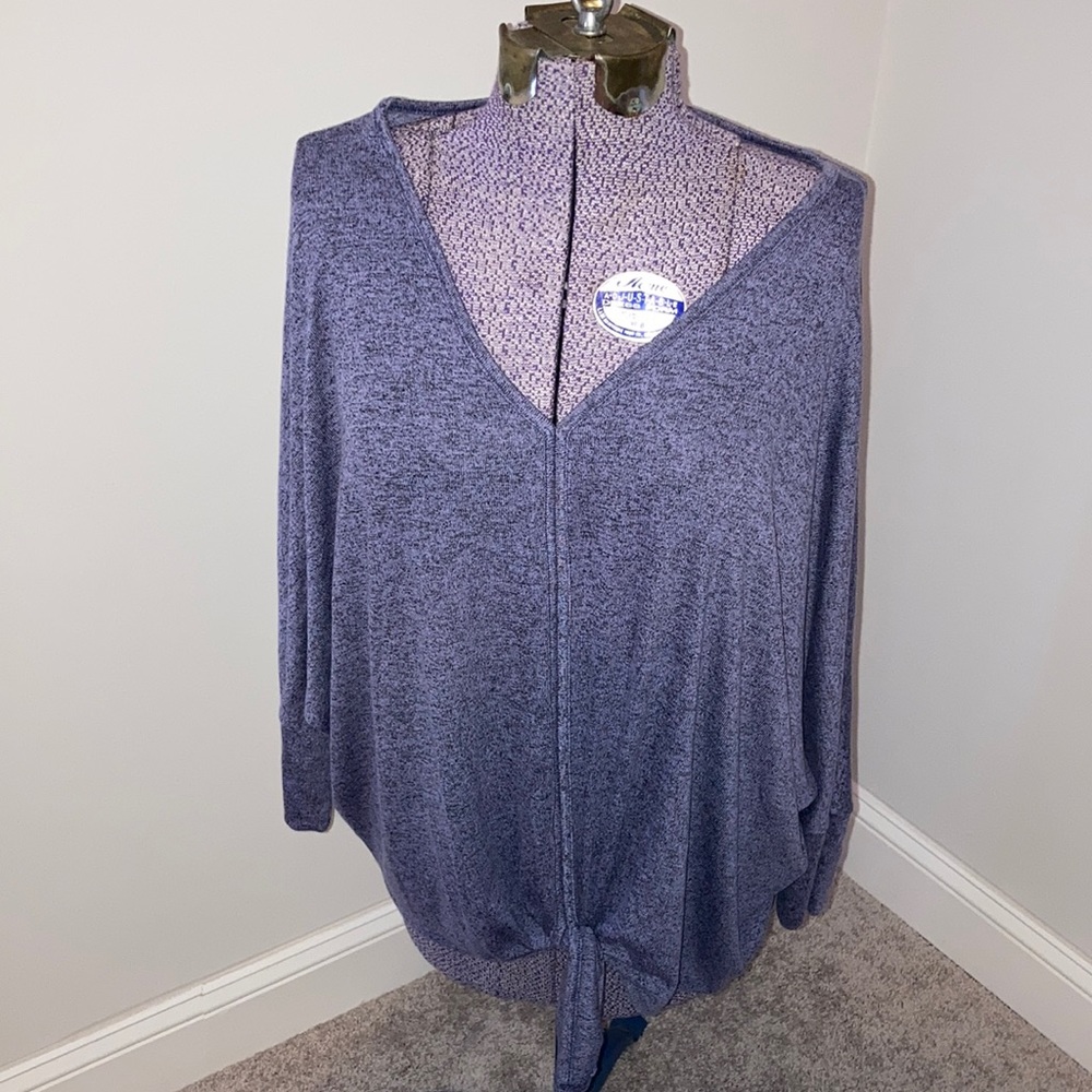 WANTABLE v neck sweater NWT